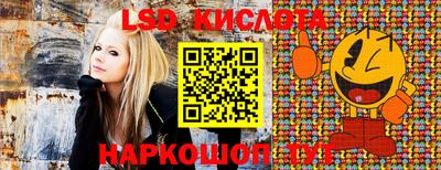 бошки Донской